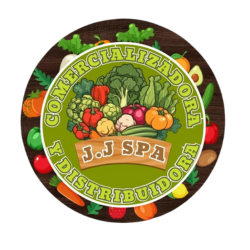 Logo Dist. JJ spa