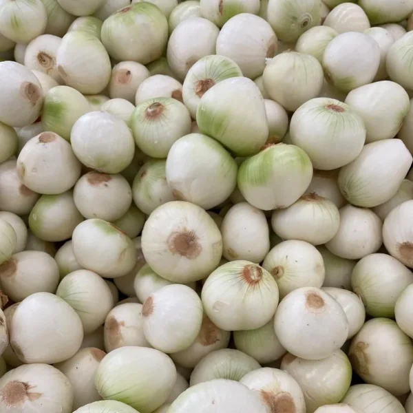 Cebolla blanca Kg