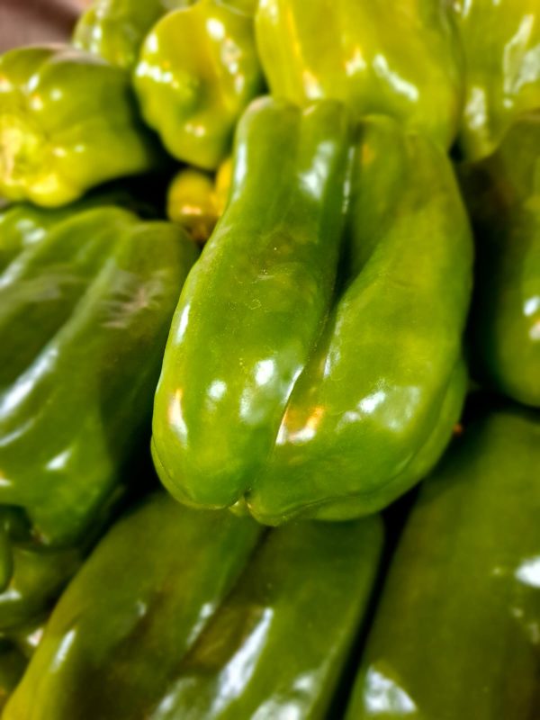 Pimenton Verde Und
