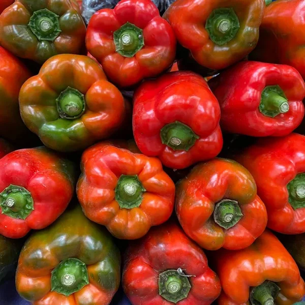 Pimenton Rojo Und