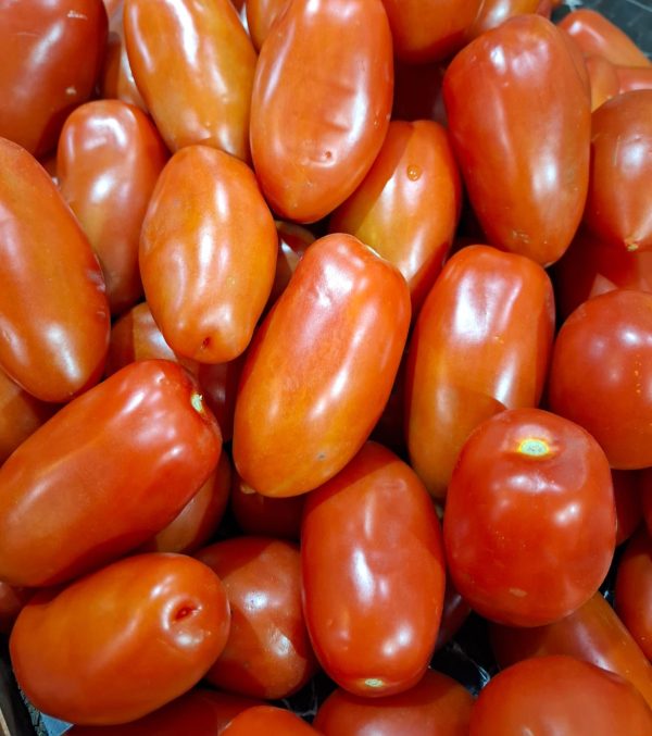 Tomate pera o pomarola Kg