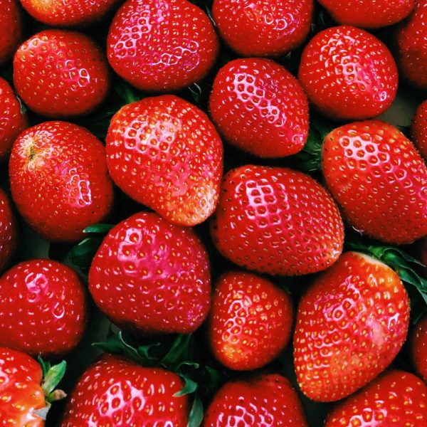 Frutilla Kg