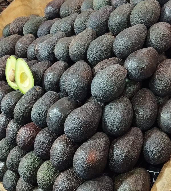 Palta Hass chilena Kg