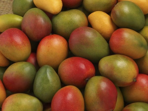 mango kg