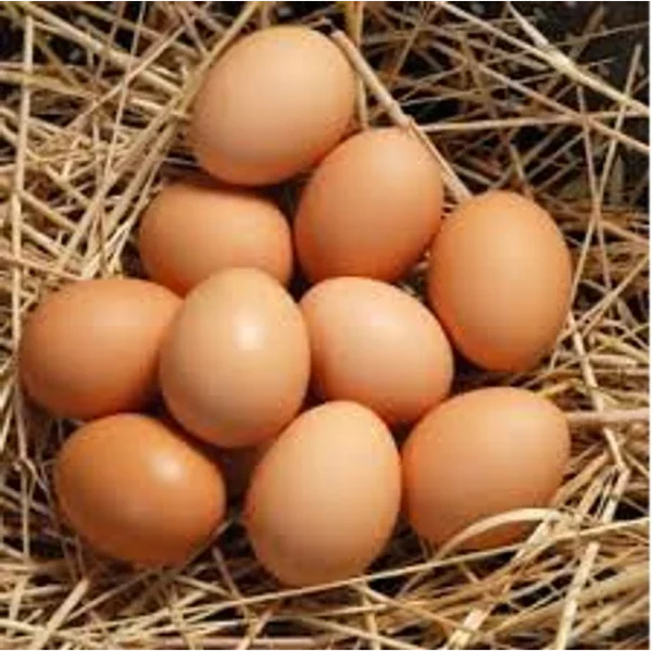 huevos grandes 15 und