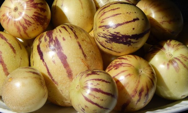 Pepino Dulce 1kg