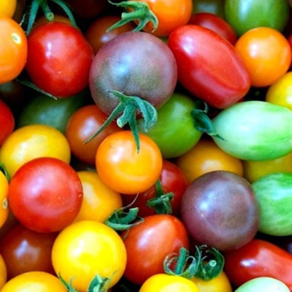 Tomate Cherry de colores 500gr