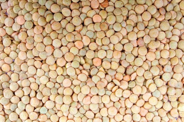 Lenteja 500gr